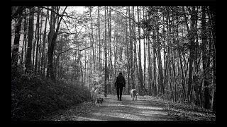 Amy Ray Muscadine