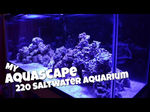 My Aquascape | 220 Gallon Saltwater Aquarium