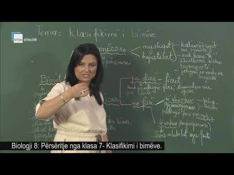 Biologji 8 - Përsëritje: Klasifikimi i bimëve