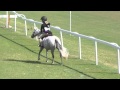 Quicksilver Butterfly Pony Derby First Trip