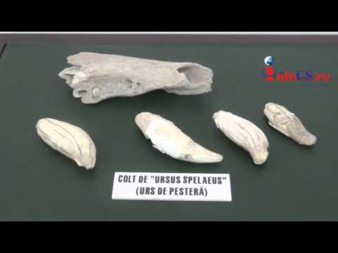 Centrul de vizitare al Parcului Naţional Domogled-Valea Cernei