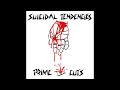 I Wasn't Meant To Feel This/Asleep At The Wheel - Suicidal Tendencies