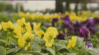 Take Care of Your Garden With Tips from Calloway's