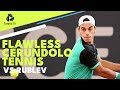 Flawless Francisco Cerundolo Tennis vs Andrey Rublev in Hamburg!