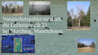 preview picture of video 'Besuch Naturschutzgebiet rund um die Lechstaustufe 23 bei Merching, Mandichosee'