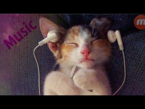 ТОП 5 КРУТОЙ МУЗЫКИ!!