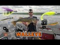 Video Thumbnail for WALLEYE ON PLASTICS AND HAIR JIGS! | LIVESCOPE FOOTAGE