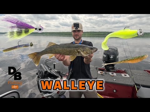 WALLEYE ON PLASTICS AND HAIR JIGS! | LIVESCOPE FOOTAGE