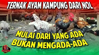 Download lagu SMART WAY TO RAISING FREE-COMMERCIAL CHICKENS FROM ZERO mp3