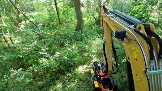 Sas land services  with Hedge cutter at Winkfield Row
