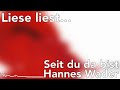Liese liest... „Seit du da bist“ von Hannes Wader