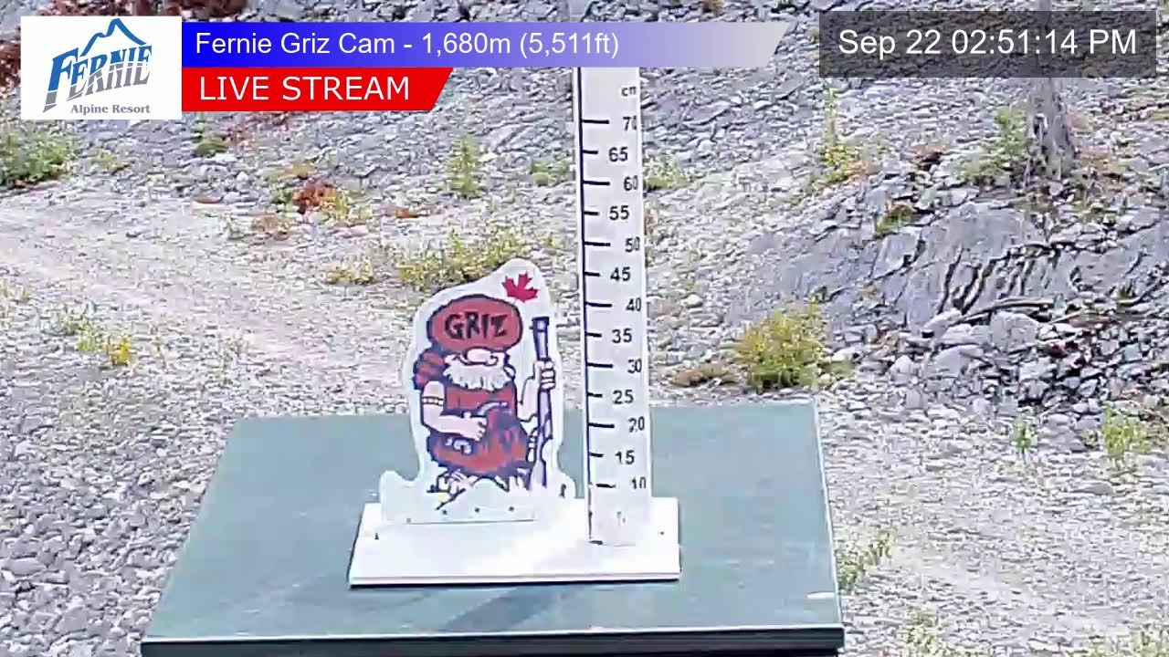 Fernie Alpine Resort webcam — Griz Cam