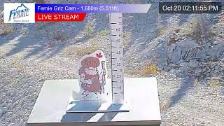 Fernie Alpine Resort webcam