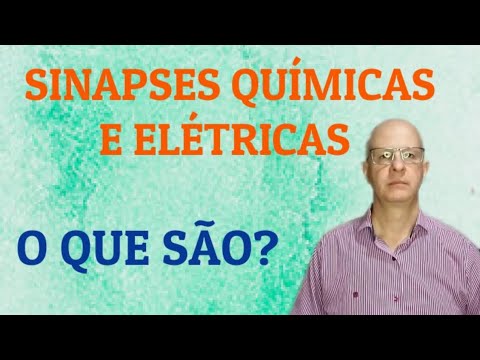 Sinapses químicas e elétricas. O que são?