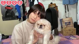 【Live】なにする？