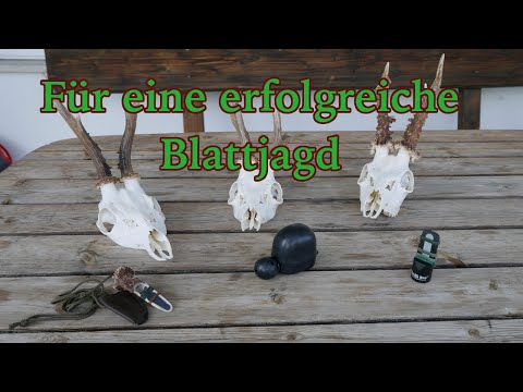 Grundlagen zum Blatten | Was - Wann - Wo | T-Hunting