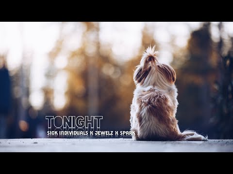 Sick Individuals X Jewelz X Spark - Tonight (Lyrics Video)