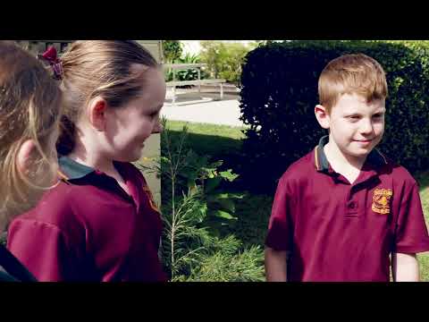 BMSS PERKS Project Jellyfish, Sharks & Dolphins