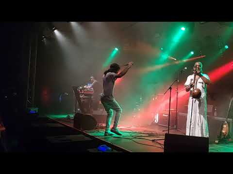 anna RF (from Israel) JUMPs @PaxTerraMusicaFriedensfestival 2022 | Midnight Party Escalation