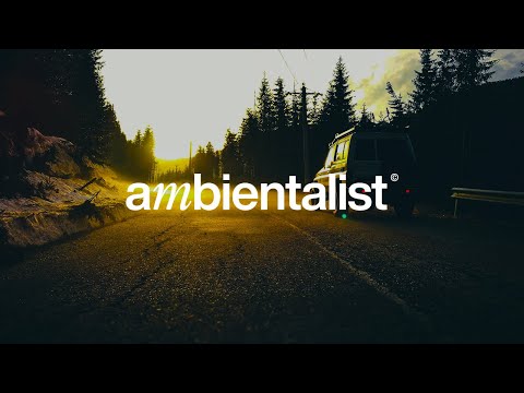 The Ambientalist - On A Good Day