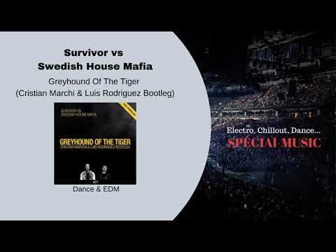 Musique: Greyhound Of The Tiger - Auteur: SURVIVOR vs SWEDISH HOUSE MAFIA - Genre: Dance & EDM