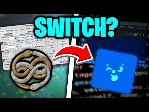 Should You Switch To Revolution Macro?