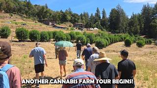 CANNABIS FARM TOURS - SANTA CRUZ MOUNTAINS!