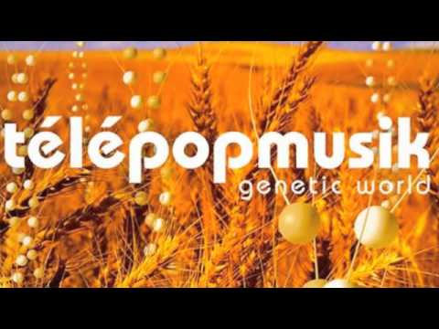 Telepopmusik - Dance Me