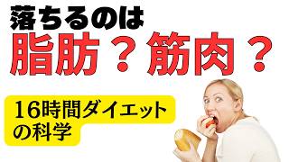 16時間ダイエットは脂肪を落とす？それとも筋肉を落とす？