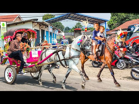 NAIK DELMAN ISTIMEWA | HORSE - KUDA DELMAN | KUDA