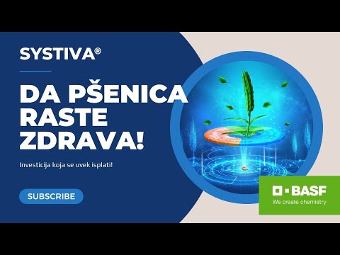 BASF stručnjači preporučuju: Systiva® za zdrav rast pšenice