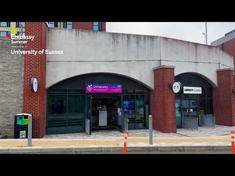 English Summer Camp for Teens at University of Sussex video
