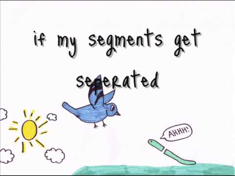 The Bird and the Worm- Owl City music video w/ lyrics ♥