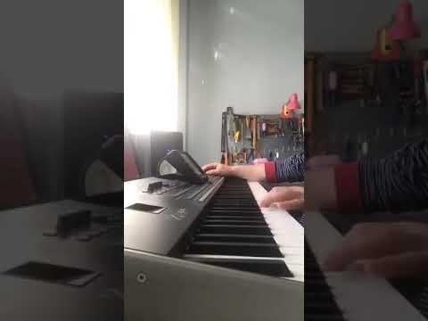 MARIUS ANGHELE 2019 - MELODII MOLDOVENESTI LA ORGA 2019