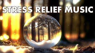Calming Healing Sleep Music | Relaxing Stress Relief Music