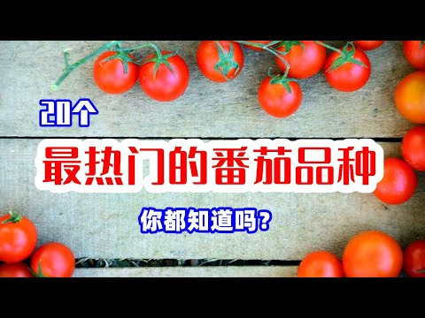, title : '20种最热门的番茄品种，今年您准备种哪个？附推荐指数★★★★★ / Top 20 Types Of Tomatoes'