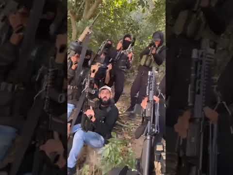 oque está falando e o esquilo Morto ontem na Ilha de Guaratiba, Oque está filmando é o Caio piloto.