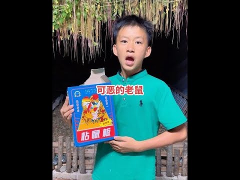 可恶的老鼠 难怪有时候无缘无故少了几只鸭子，看了监控才知道是老鼠搞的鬼！ #可恶的老鼠 #老鼠过街人人喊打 #鸭司令 #保护鸭子