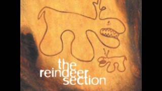 The Reindeer Section - Whodunnit