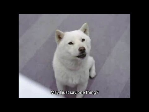 SoftBank: White Family Otosan - The Dog Dad Campaign