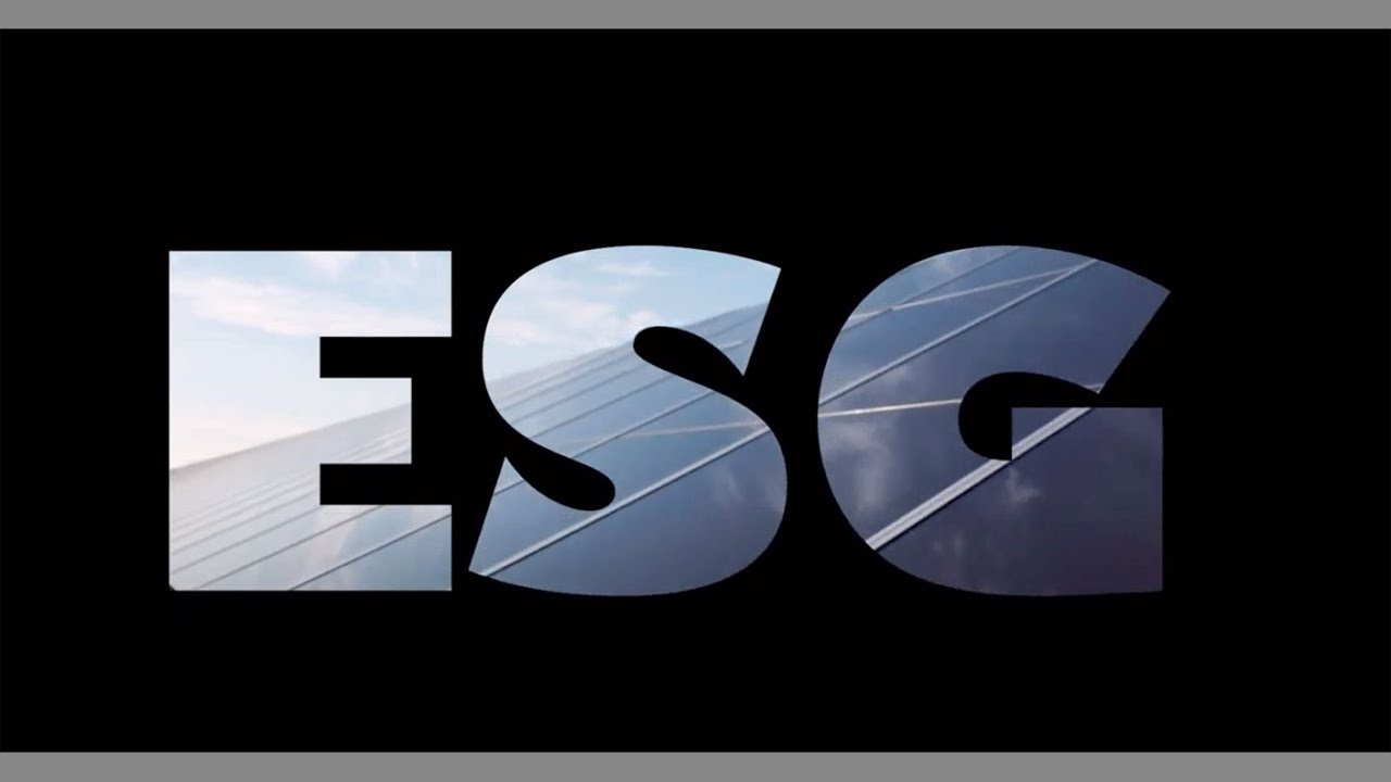 Too Embarrassed To Ask: what is ESG investing? - YouTube