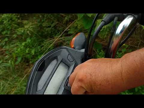 Pau Darco a Pedra D'água, Pirpirituba PB 