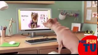 Kofola mix nejlesi reklamy CZ Kofola mix nejlesi reklamy CZ