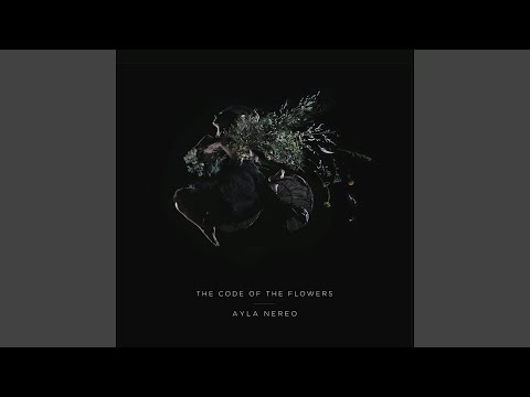 The Course - Ayla Nereo
