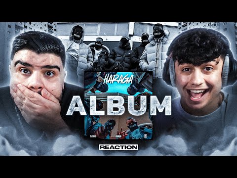 ALTER DAS HOODBLAQ ALBUM IST ZU KRASS!! 😍 HOODBLAQ - HARAGÁ (ALBUM) Reaction