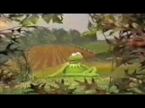 The Rainbow Connection: Muppet Mania (Part 1)