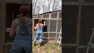 Painting Hardware Cloth Black! #chickencoop #shortsvideo