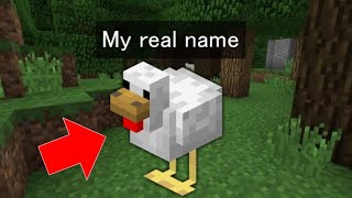 マイクラのペットの名前本名ドッキリwww  　MinecraftPet name Real name surprise!!!!!!!