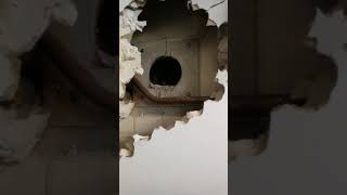 Album cover: Surveying video