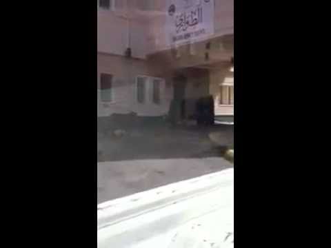 بالفيديو .. حمار يتجول داخل مستشفى سعودي